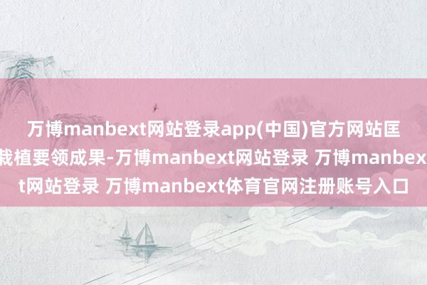万博manbext网站登录app(中国)官方网站匡助跑者减少脚部疲困并栽植要领成果-万博manbext网站登录 万博manbext体育官网注册账号入口